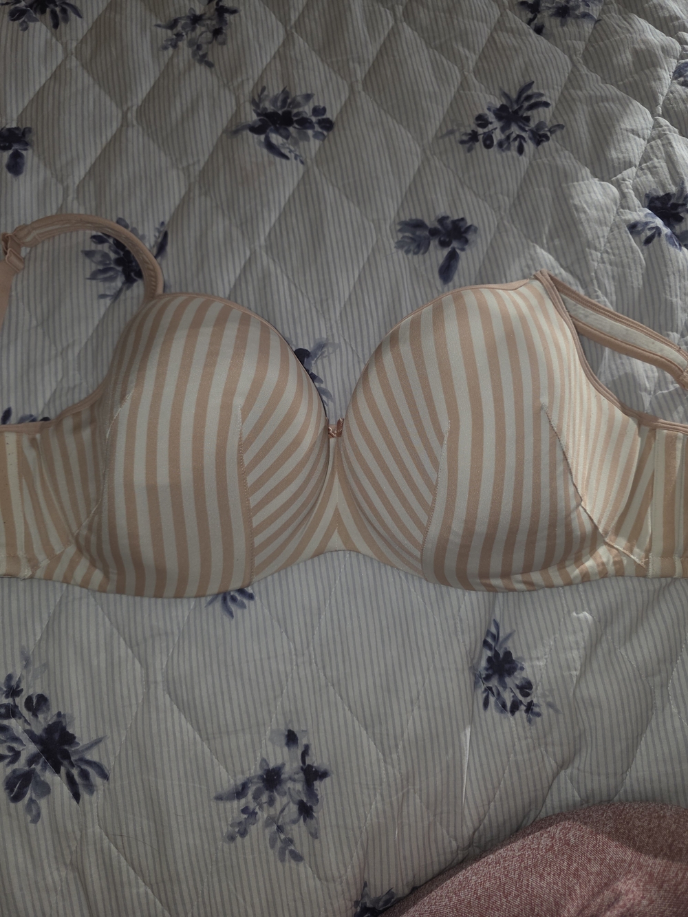 Cacique Striped Lightly Lined Balconette Bra in Blush and White